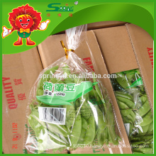 Chinese Frozen snow pea